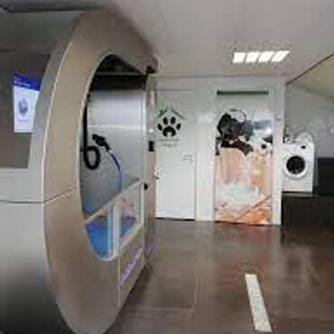 Dog Hotel Sennyards 2