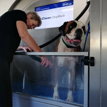 Dog Hotel Sennyards 3