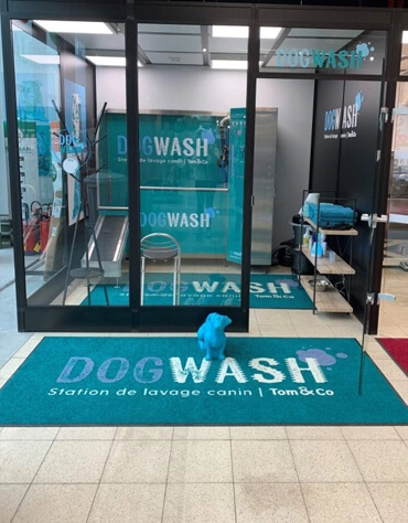 iClean Dog Wash